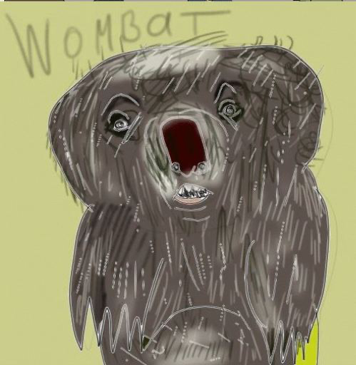 wombat