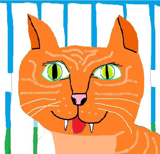 orange cat