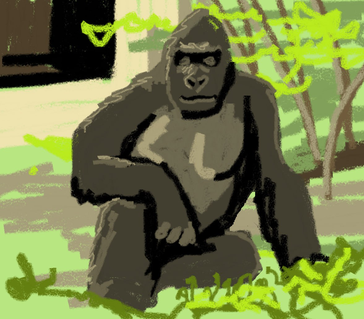 harambe