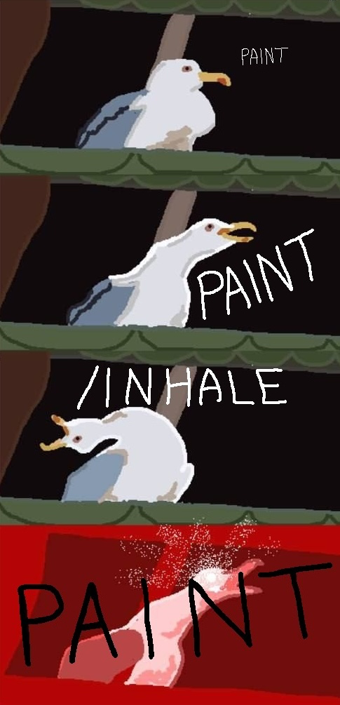 Seagull inhale PAINT