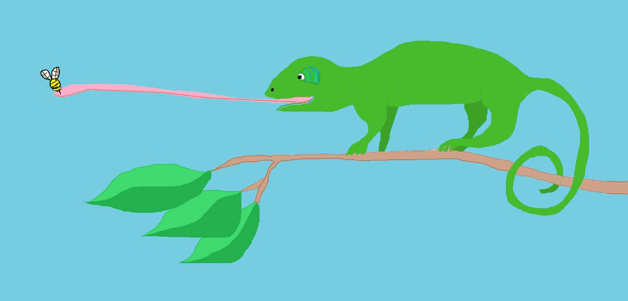 Chameleon