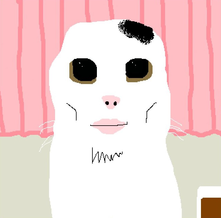 Chad Cat