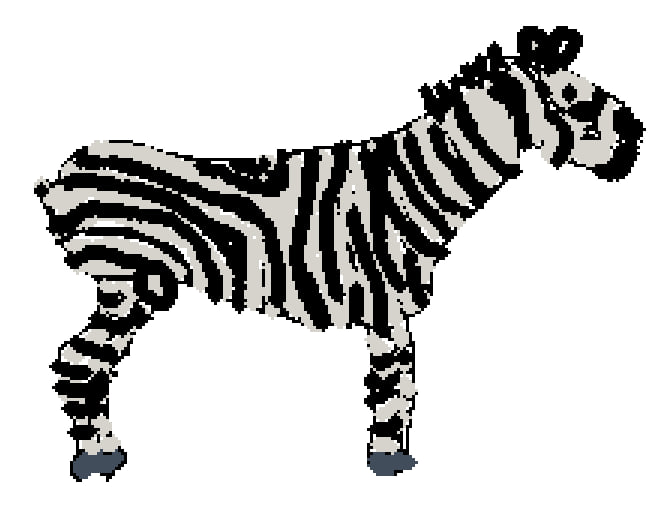 Zebra